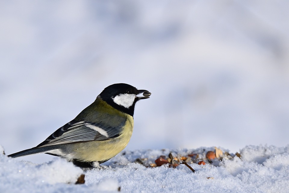 Empower Your Health: How Veroval Selbst-Test Care Diagnostics Revolutionize Home Testing