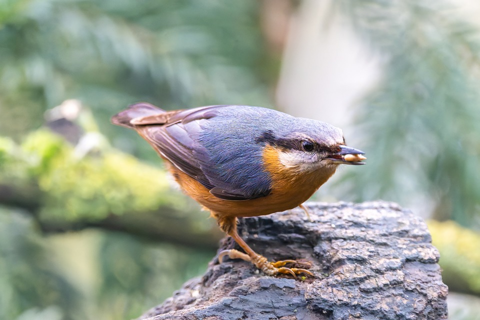 “Rev Up Your Ride: Unpacking the Podofo 2023 Portable Car Stereo Experience”