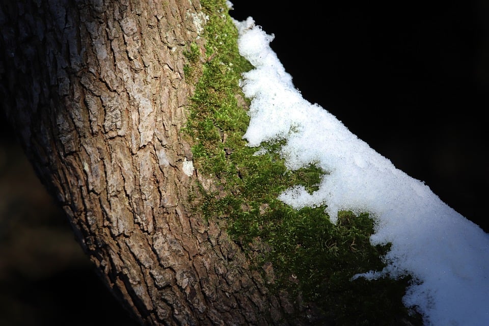 Shine On: The Rise of Self-Service Car Shampoo Stations