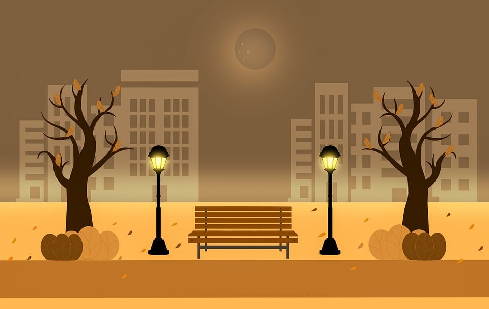 The Science of Downforce: How Rear Wings Transform Performance Cars