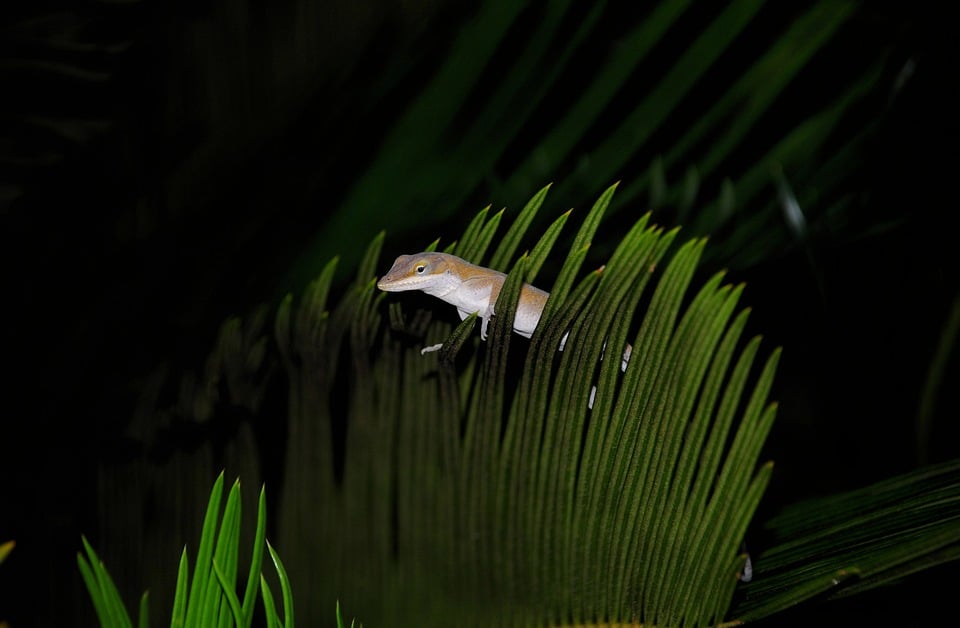 Transform Your Ride: The Ultimate Guide to Car Wrapping