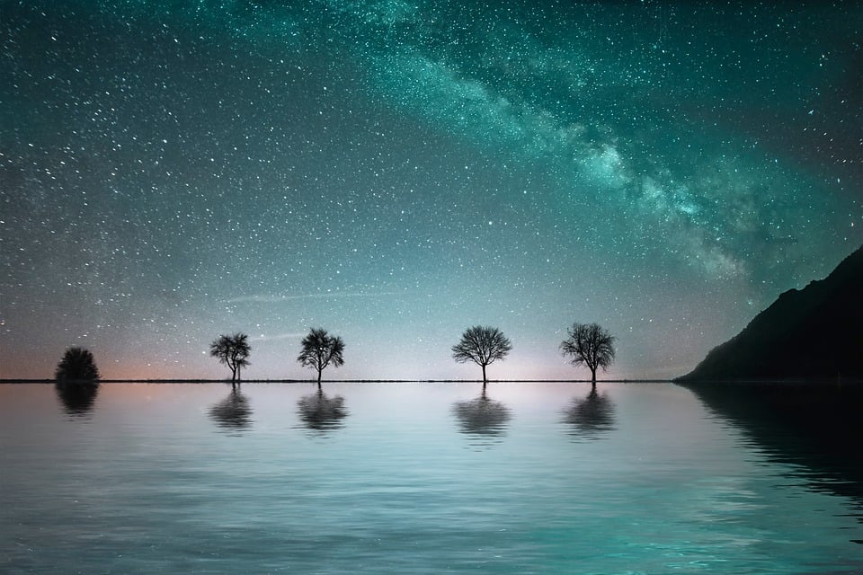 Transform Your Ride: The Ultimate Guide to Vehicle Car Wraps