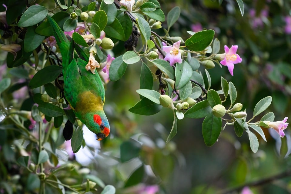 Unleash the Drift: Crafting Your Own Custom RC Car for Ultimate Performance