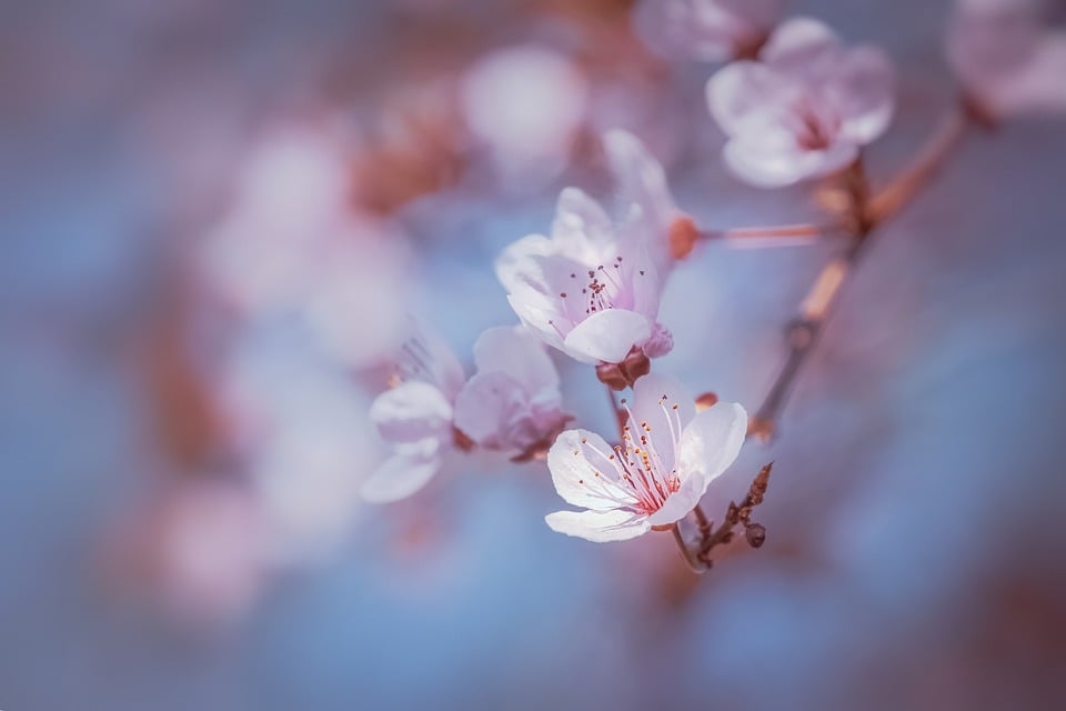 Rev Up Your Shine: Exploring the Innovations at LS 17 Car Wash