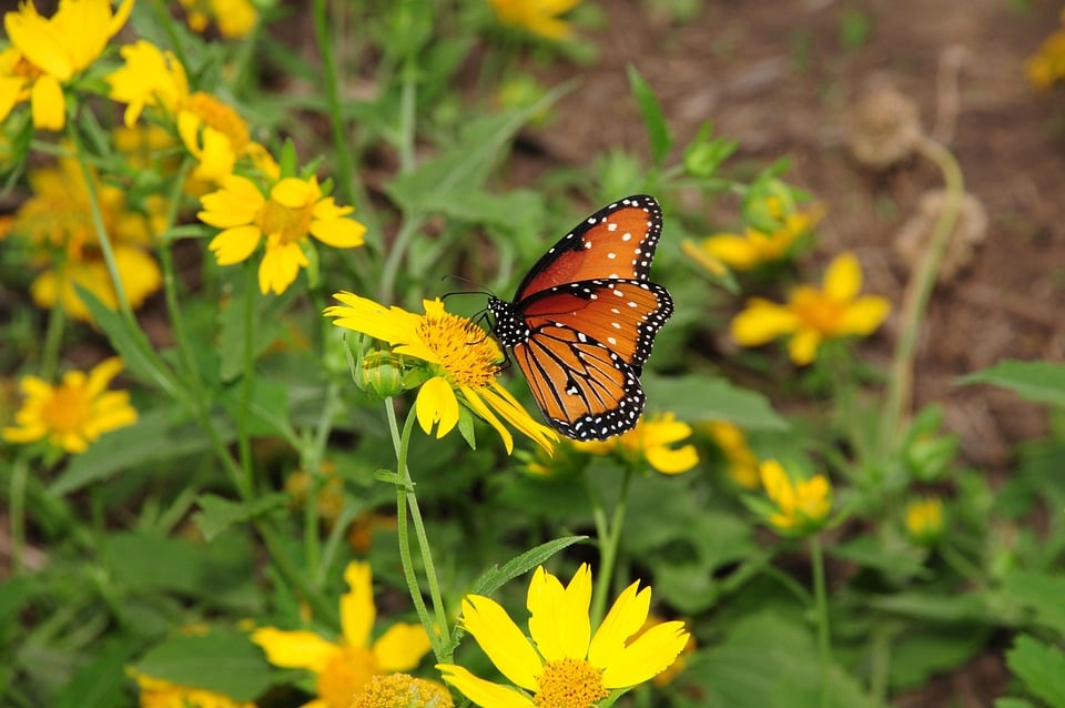 Prevention Care Headlines