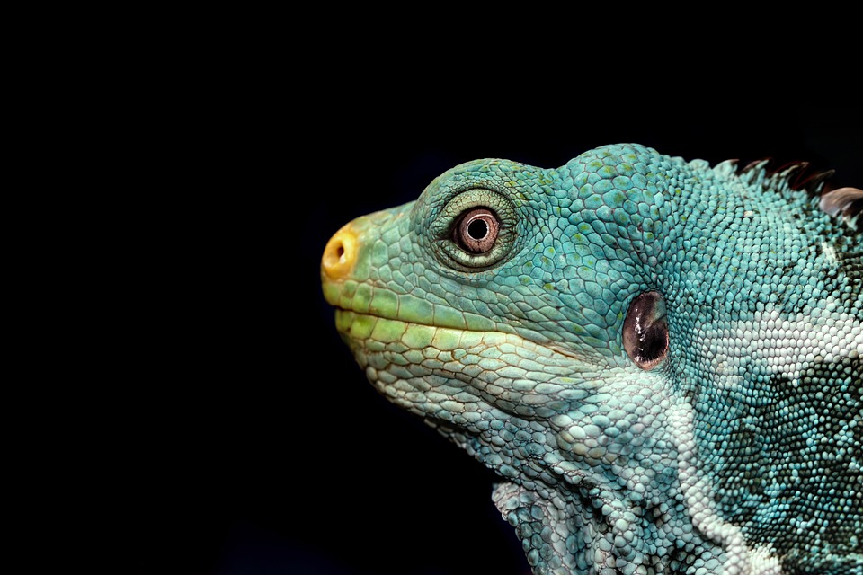 Sculpt Your Confidence: The Ultimate Guide to Effective Contour Care