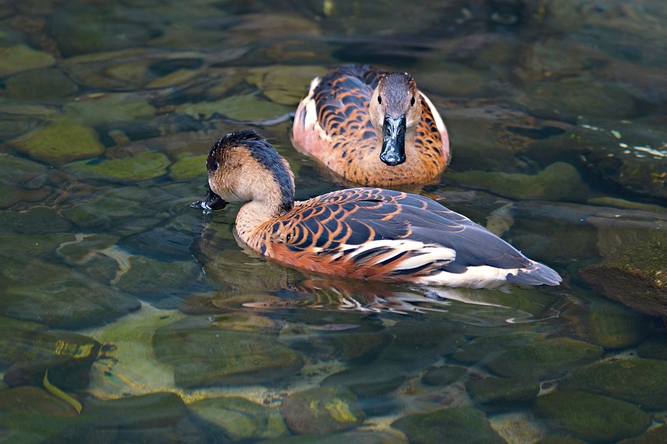 The Future of Access: How Smart Car Gates Are Transforming Home Security