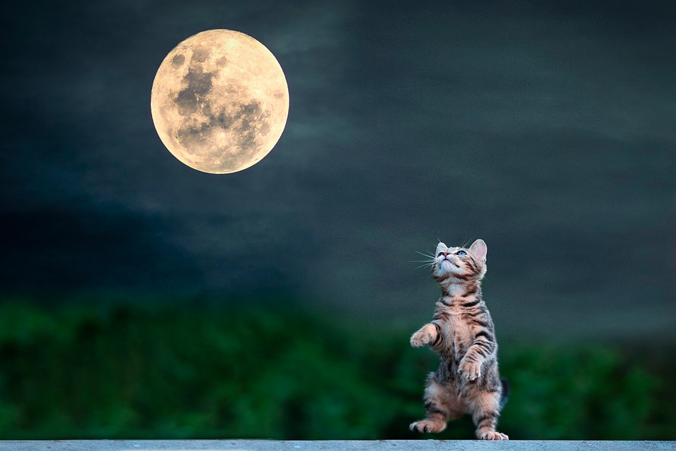 10 Essential Car Maintenance Tips Every Driver Should Know