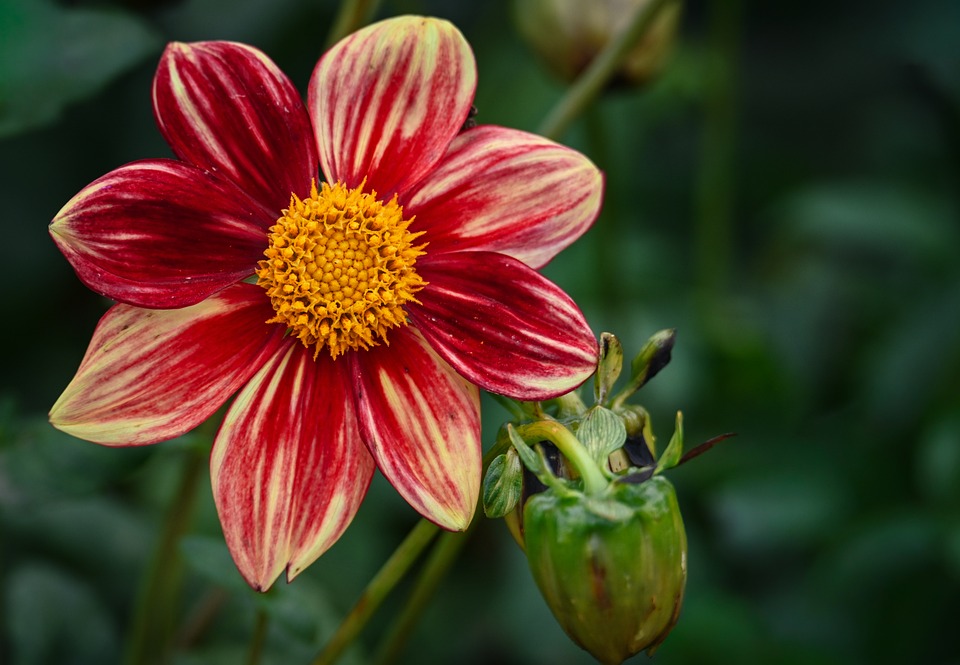 Clear Solutions: Finding Top-Rated Glass Repair Services Near You