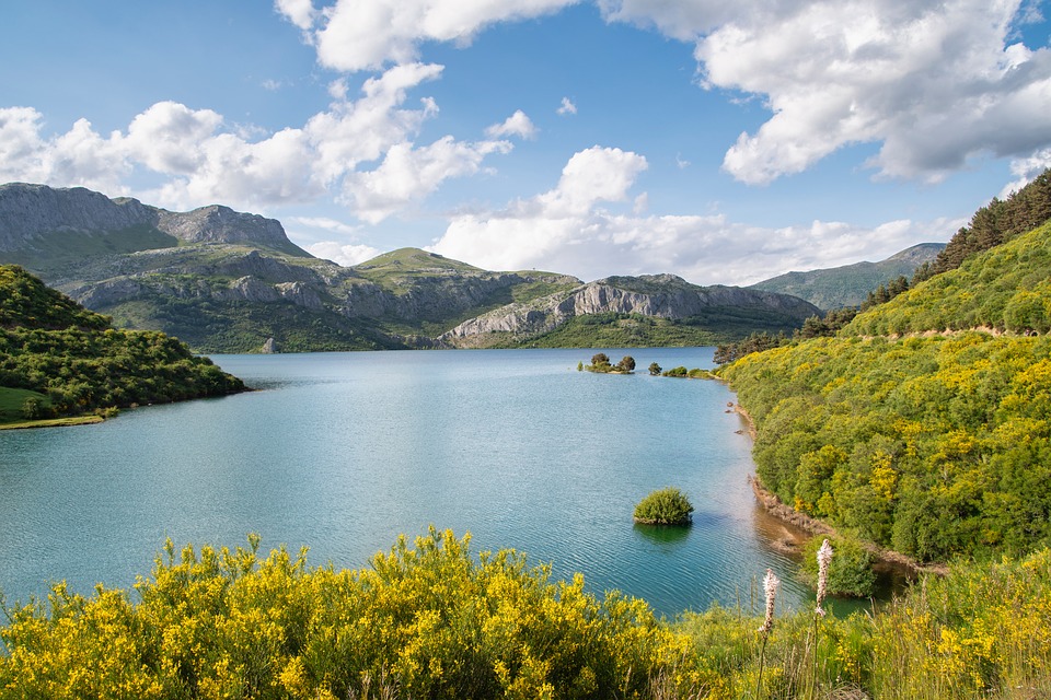 Discover Your Dream Car: Find Your Local Alfa Romeo Dealer Today!