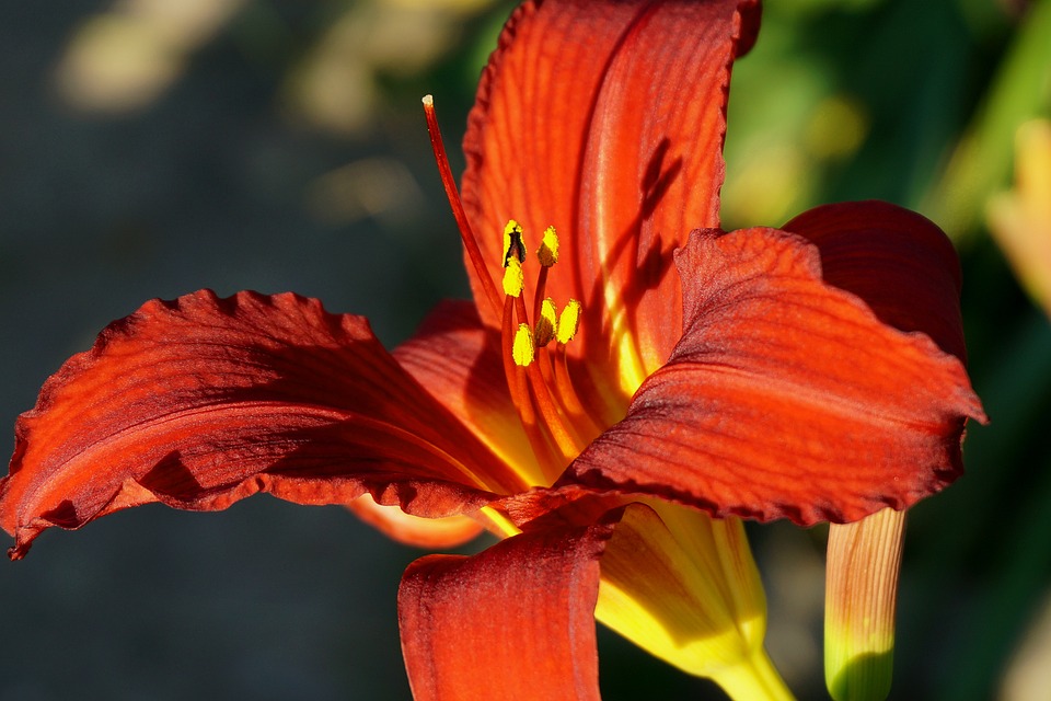 Discover Your Dream Mazda: Visit Our Local Showroom Today!