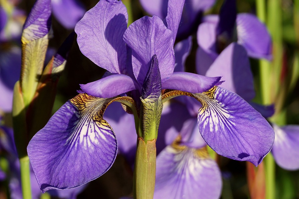 Discover Your Dream Ride: Top Mazda Models at a Dealer Near You!