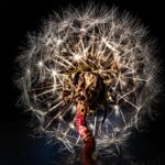 Discover Your Perfect Ride: Top Mazda Car Dealer Near You!