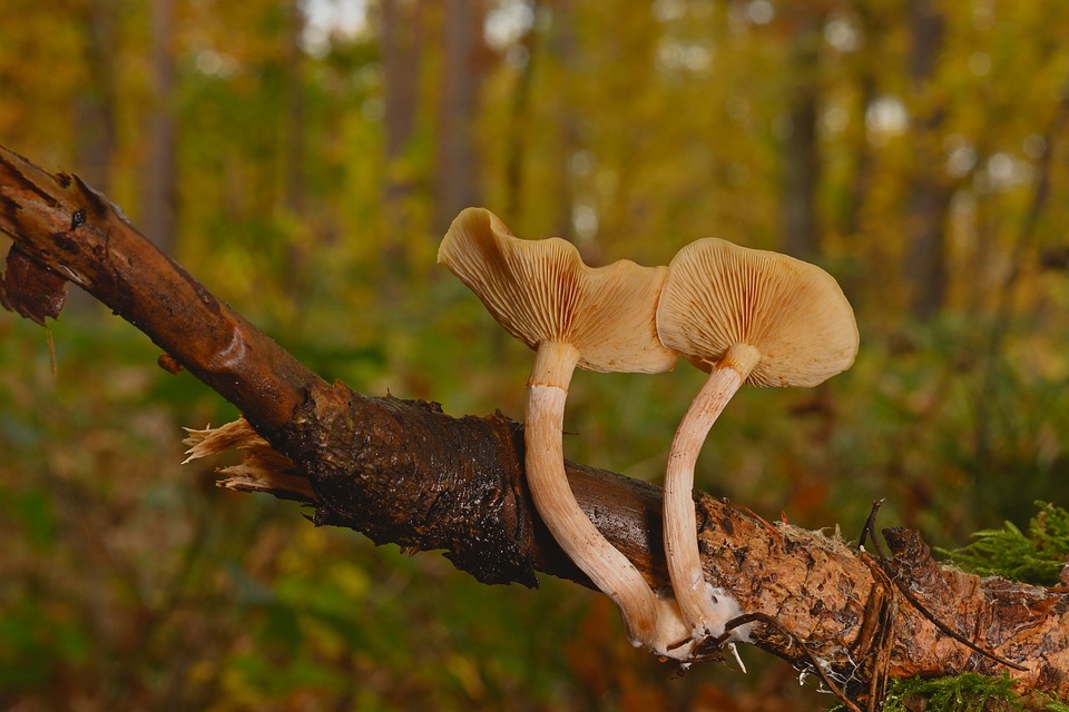 Discover the Best New Car Lots in [Your City]: A Comprehensive Guide