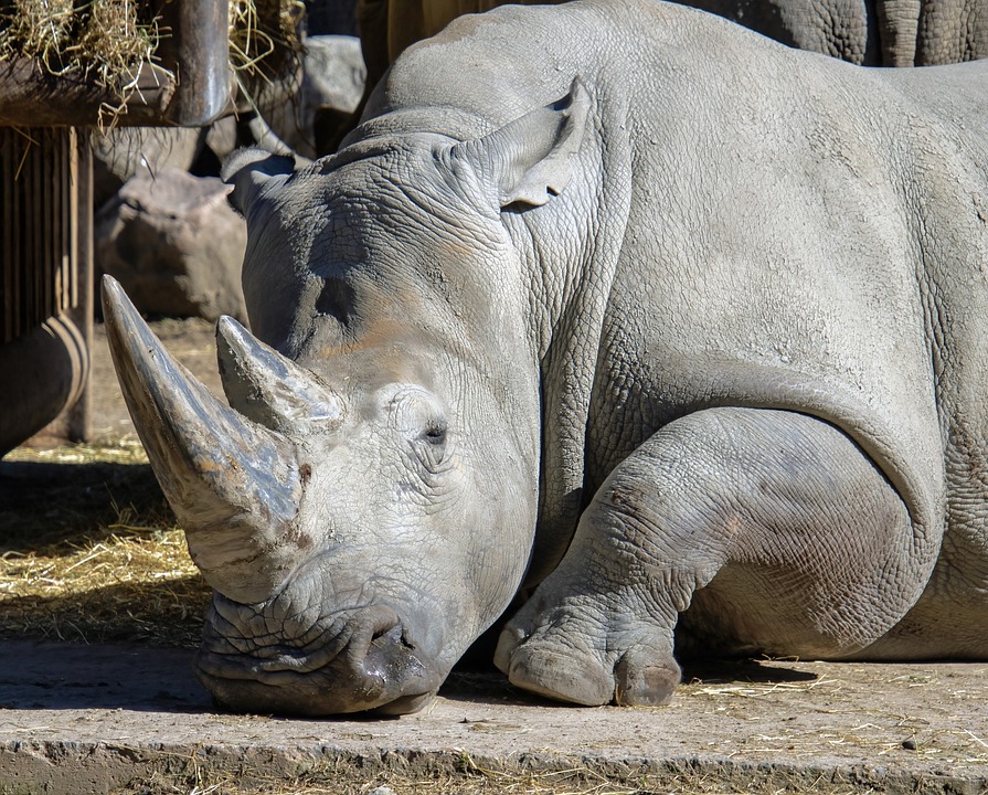 Drive Away with Confidence: Your Guide to Local Used Car Dealerships