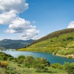 Drive with Confidence: How Our Toyota Service Center Keeps Your Vehicle at Peak Performance