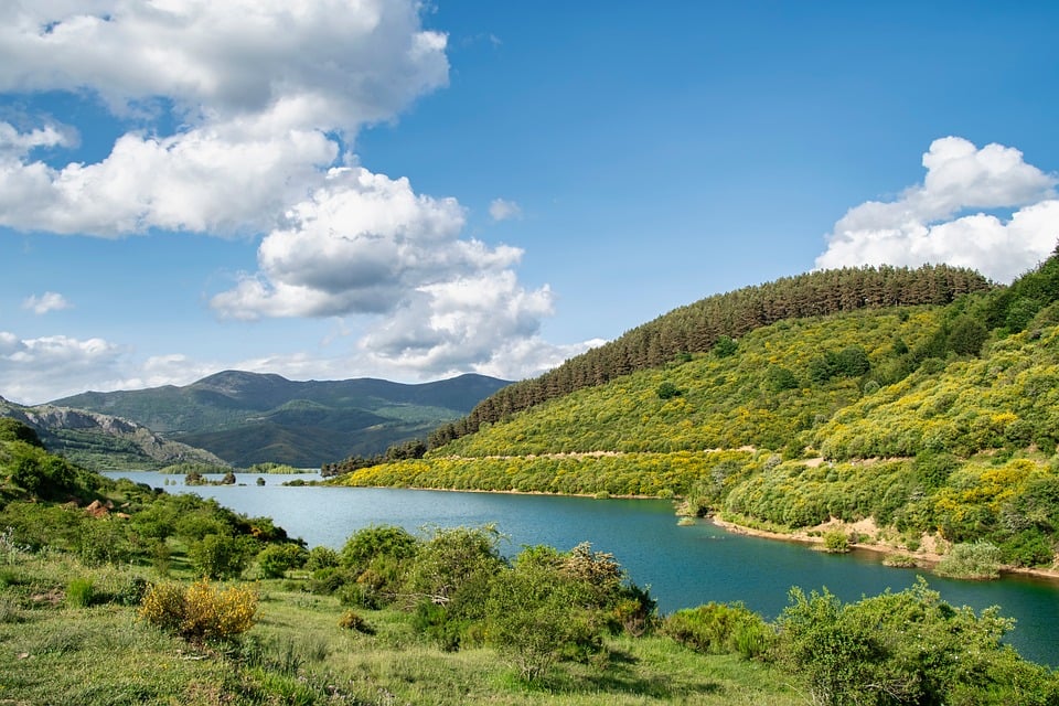 Drive with Confidence: How Our Toyota Service Center Keeps Your Vehicle at Peak Performance