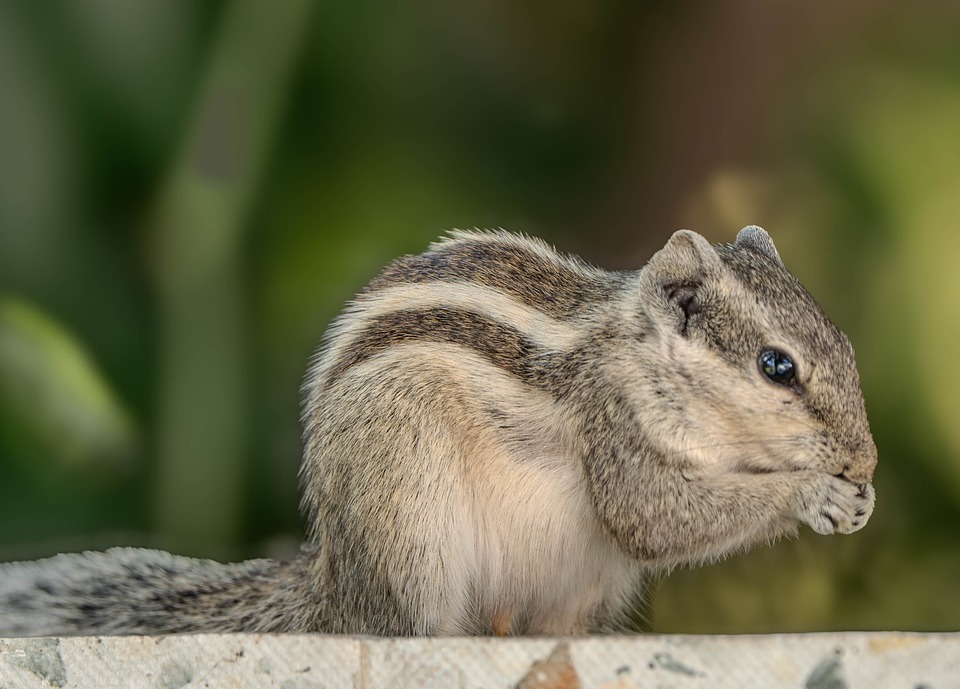 Driving Change: How Auto Data is Steering the Future of Transportation