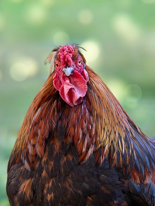 Driving Innovation: How Google is Shaping the Future of Automotive Technology