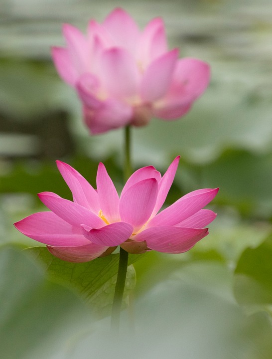 Driving Innovation: How Mazda is Shaping the Future of Automotive Design