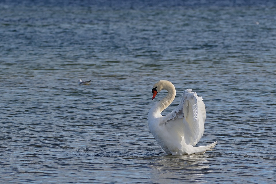 Driving Into the Future: How Electric Vehicles are Redefining the Auto Industry