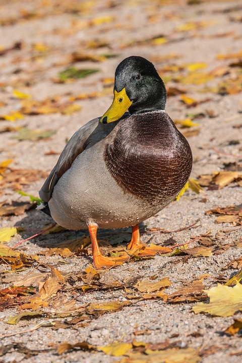 Driving into the Future: A Deep Dive into the BMW i4's Electric Revolution
