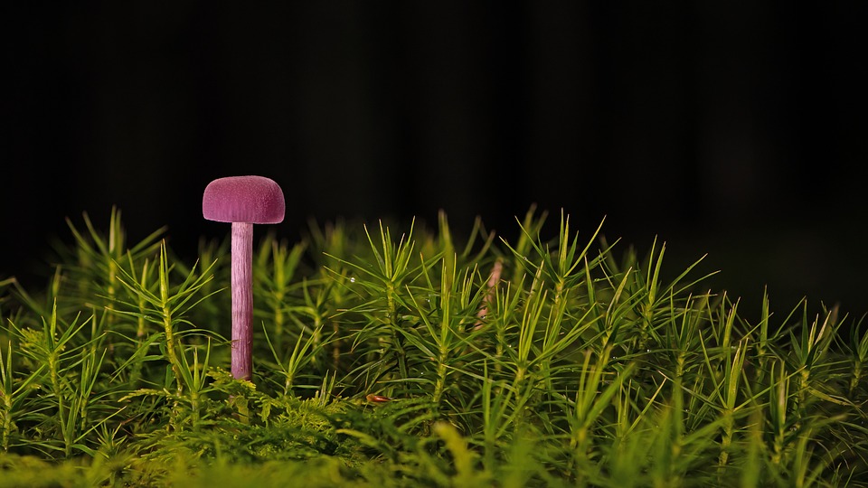 Introducing the Volvo EX90: A New Era of Electric Luxury