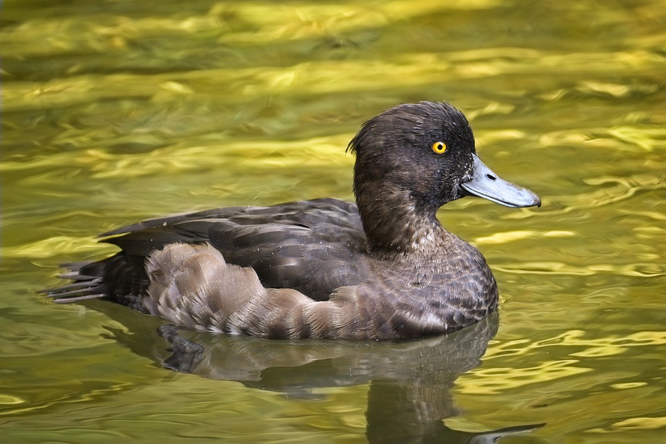 Maximize Your Profit: Top Tips for Selling Your Car Fast!