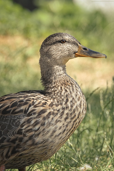 Maximize Your Profit: Top Tips for Selling Your Car Quickly