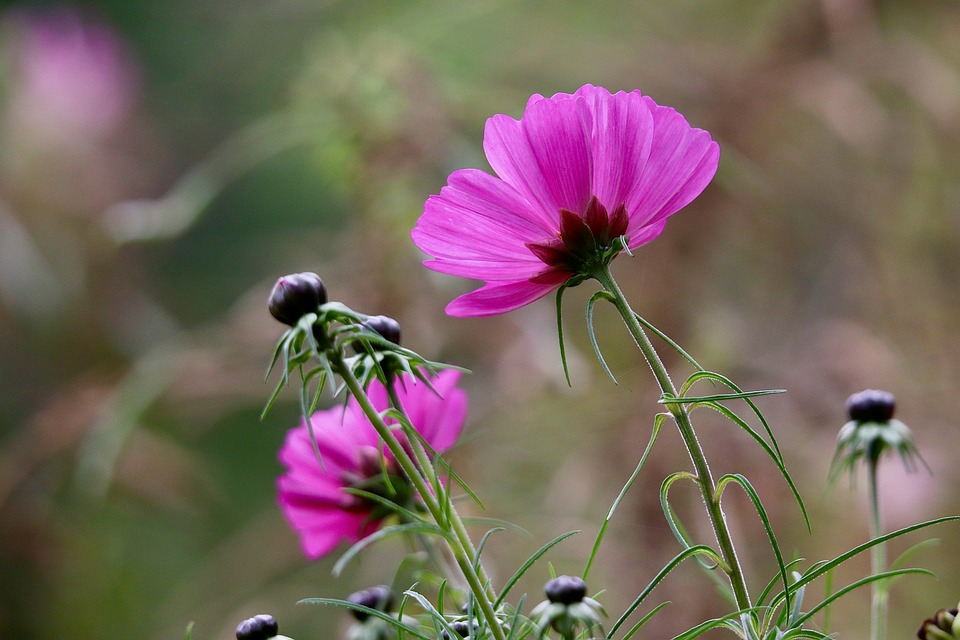 Mini Repair Near Me: Your Go-To Guide for Quick Fixes in Your Area!