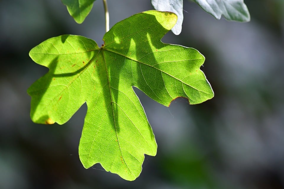 Navigating Mazda Financial: A Comprehensive Guide for New Car Buyers