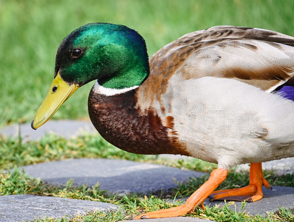 Ready to Say Goodbye? Top Tips for a Successful Car Sale!