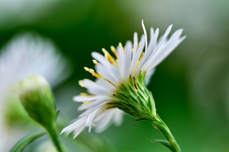 Rev Up Your Knowledge: Top 10 Essential Car Repairs Every Driver Should Know