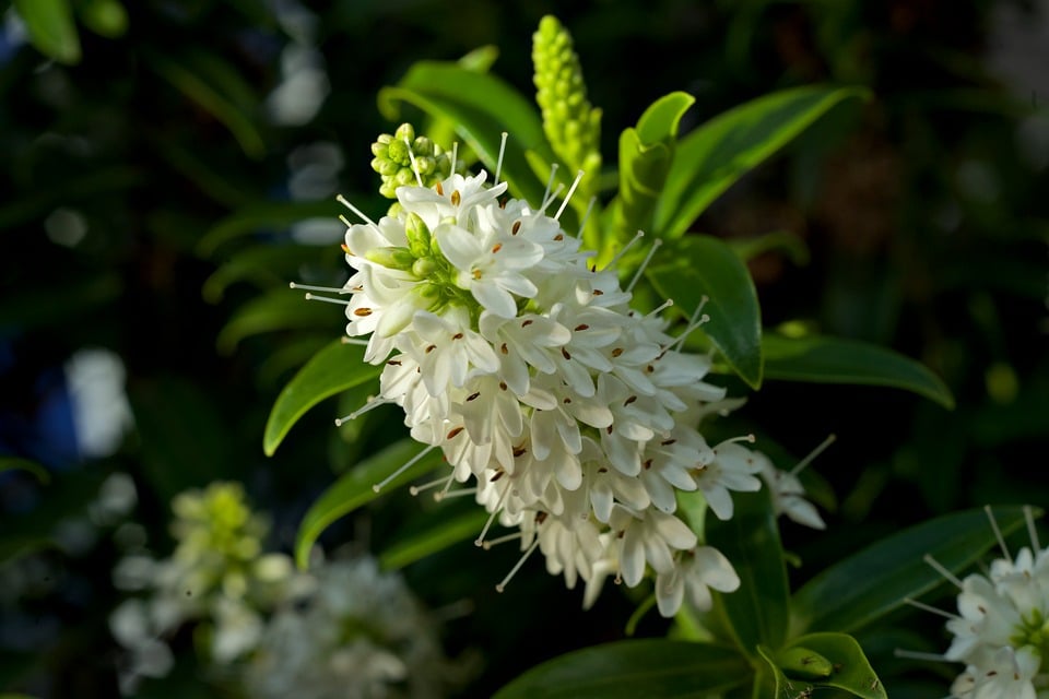 Rev Up Your Ride: Discover the Best Car Sales Places in [Your Location]