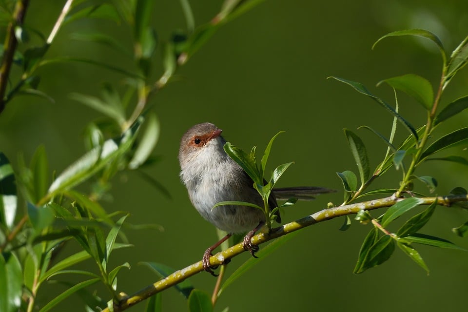 Rev Up Your Ride: Top Tips for Choosing the Right Auto Repair Shop