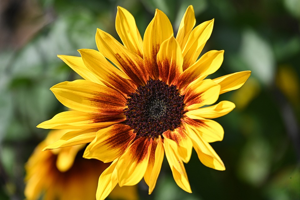 Rev Up Your Search: Discover the Best Fiat Dealerships Near You!