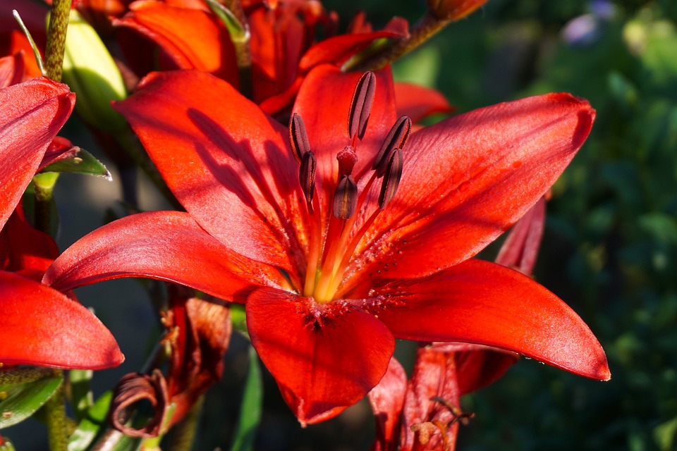 Revitalize Your Ride: Essential Auto Body Maintenance Tips