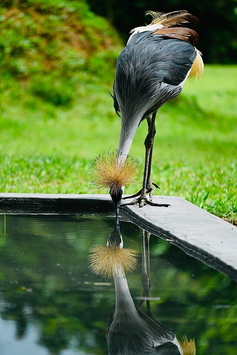 Revive Your Ride: Top Body Shops Near You for Expert Care