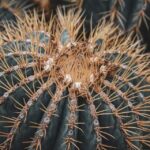 Revving Up Quality: The Importance of Tesla-Approved Body Shops