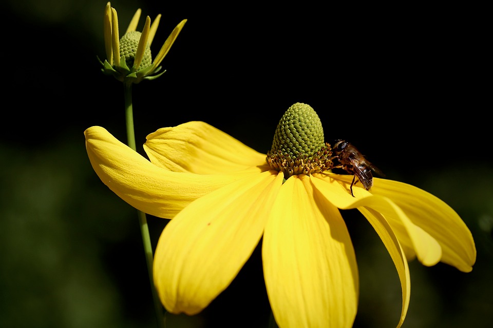 Sell Your Car Like a Pro: Top Markets Unveiled