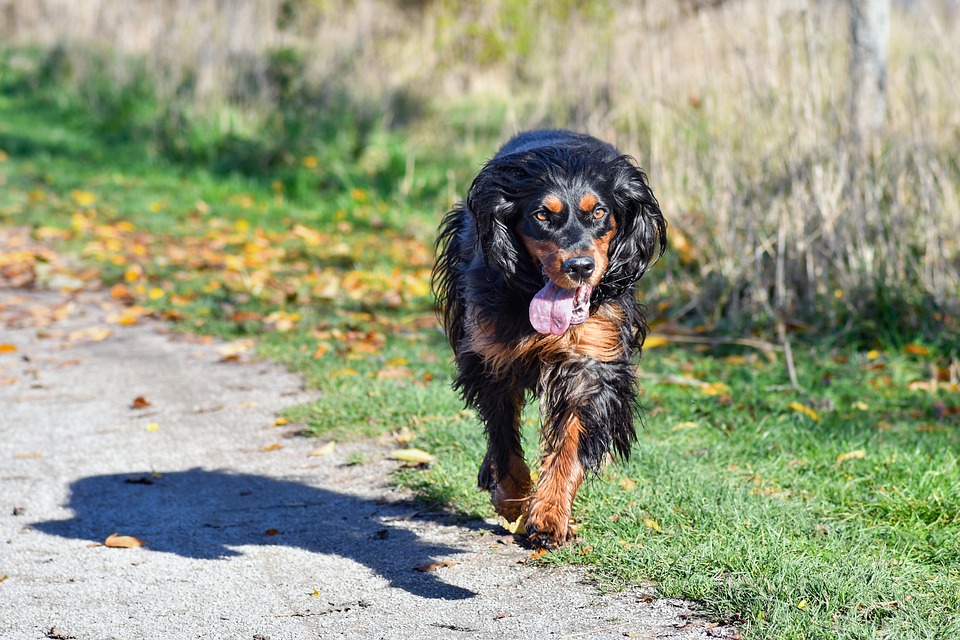 The 2024 Chevy Equinox: A Perfect Blend of Style and Functionality