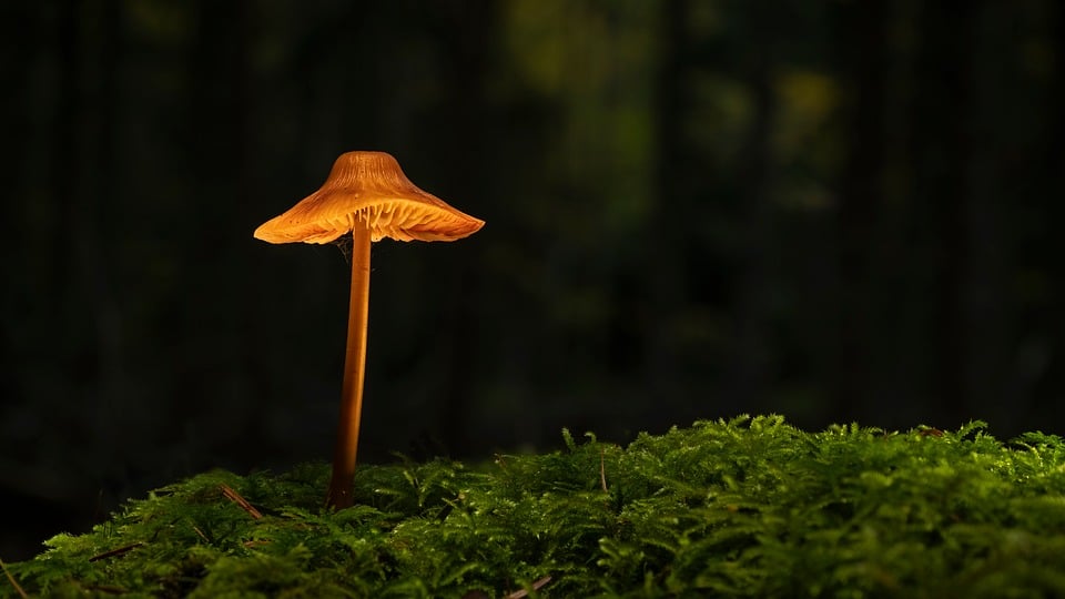 The BMW i5: A New Era in Electric Luxury