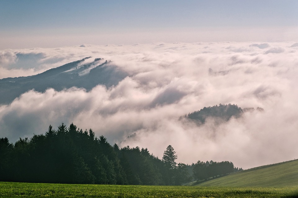 The Evolution of Sedans: From classic to contemporary