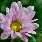 The Ultimate Guide to Auto Oil Changes: Keep Your Engine Running Smoothly