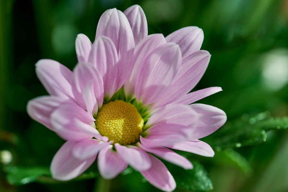 The Ultimate Guide to Auto Oil Changes: Keep Your Engine Running Smoothly