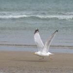 Top 10 Common Car Problems and How to Fix Them