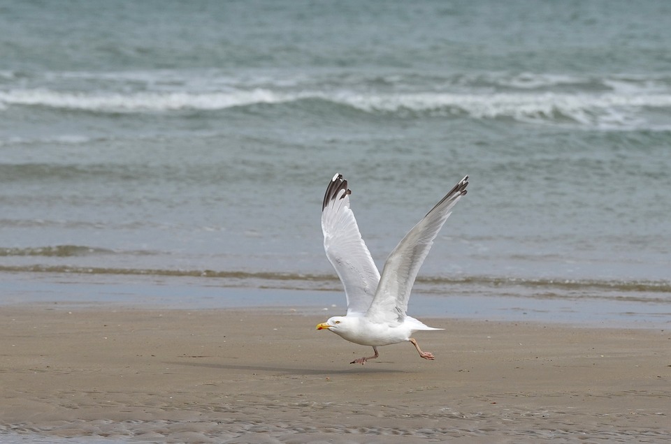 Top 10 Common Car Problems and How to Fix Them