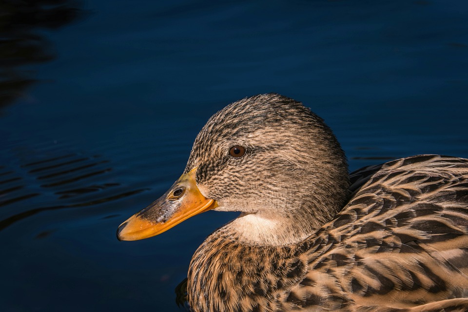 Tread Lightly: Discover Mobile Tire Repair Near You!