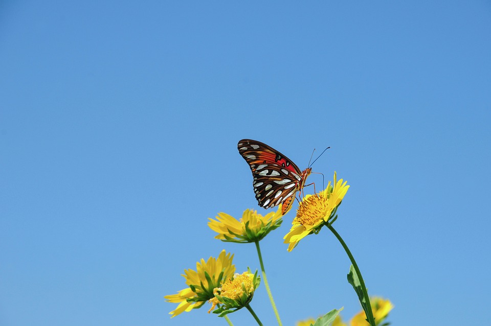 Unbeatable Savings: Discover Local Car Dealership Deals Near You!