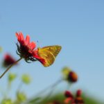 Unlocking Value: Tips for Selling Your Car Fast and for More